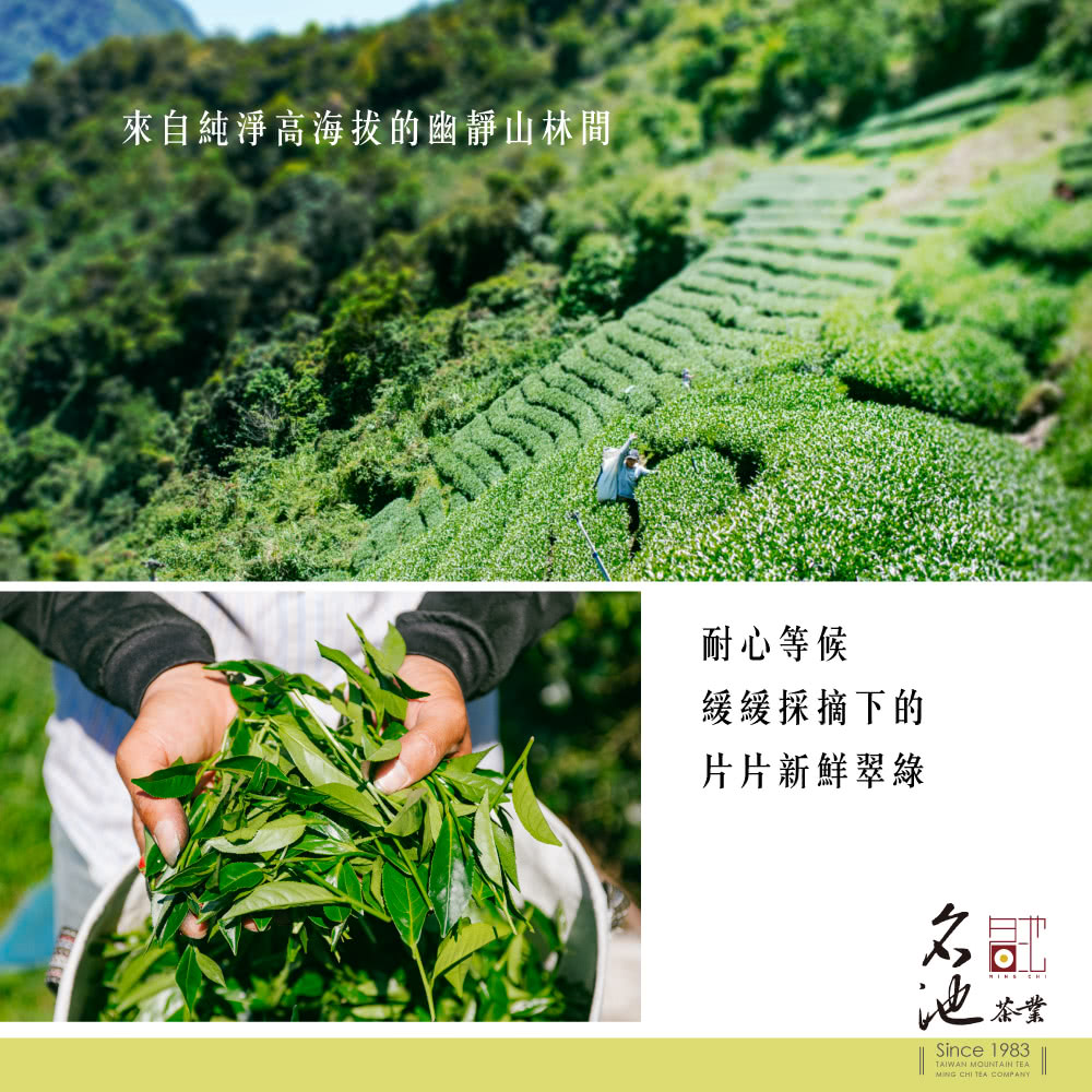 來自純淨高海拔的幽靜山林間 耐心等候 緩缓採摘下的 片片新鲜翠綠 