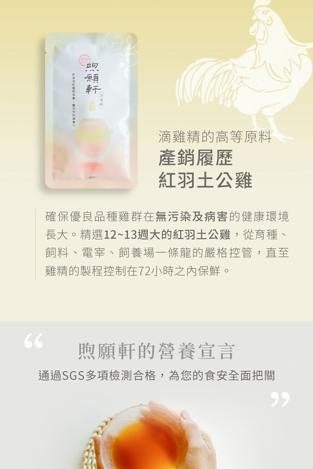 長大。精選1213週大的紅羽土公雞,從育種、