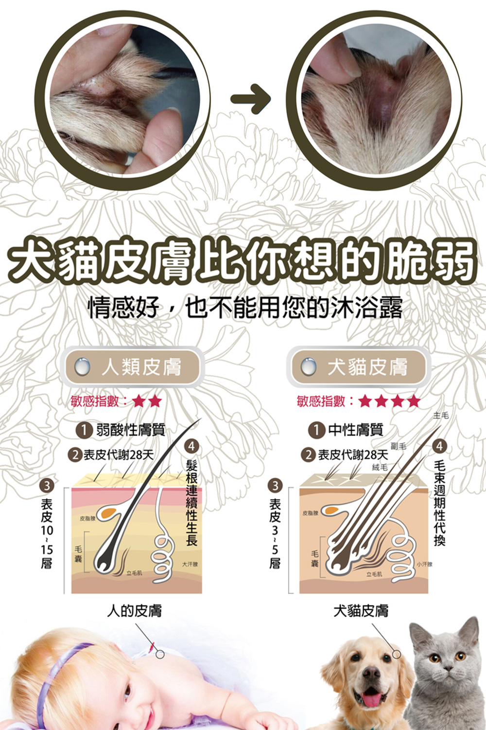 情感好,也不能用您的沐浴露