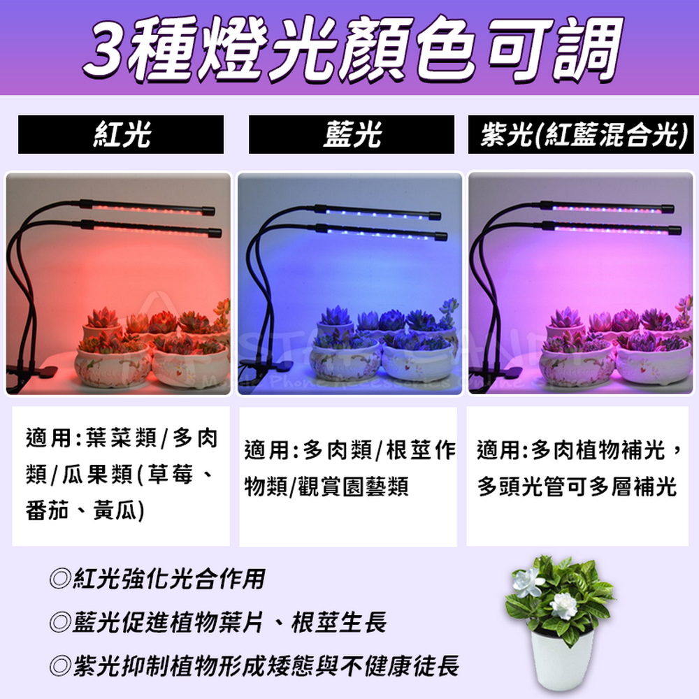 適用多肉類根莖作 適用多肉植物補光,