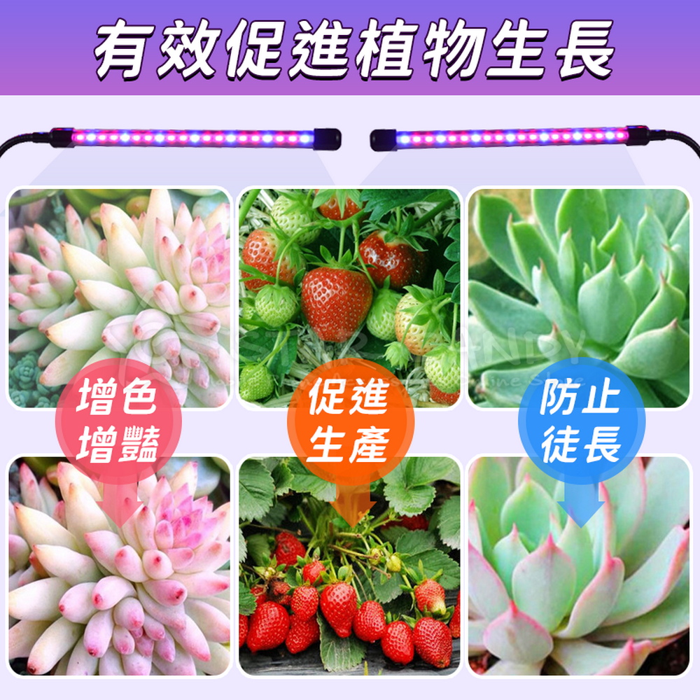 有效促進植物生長