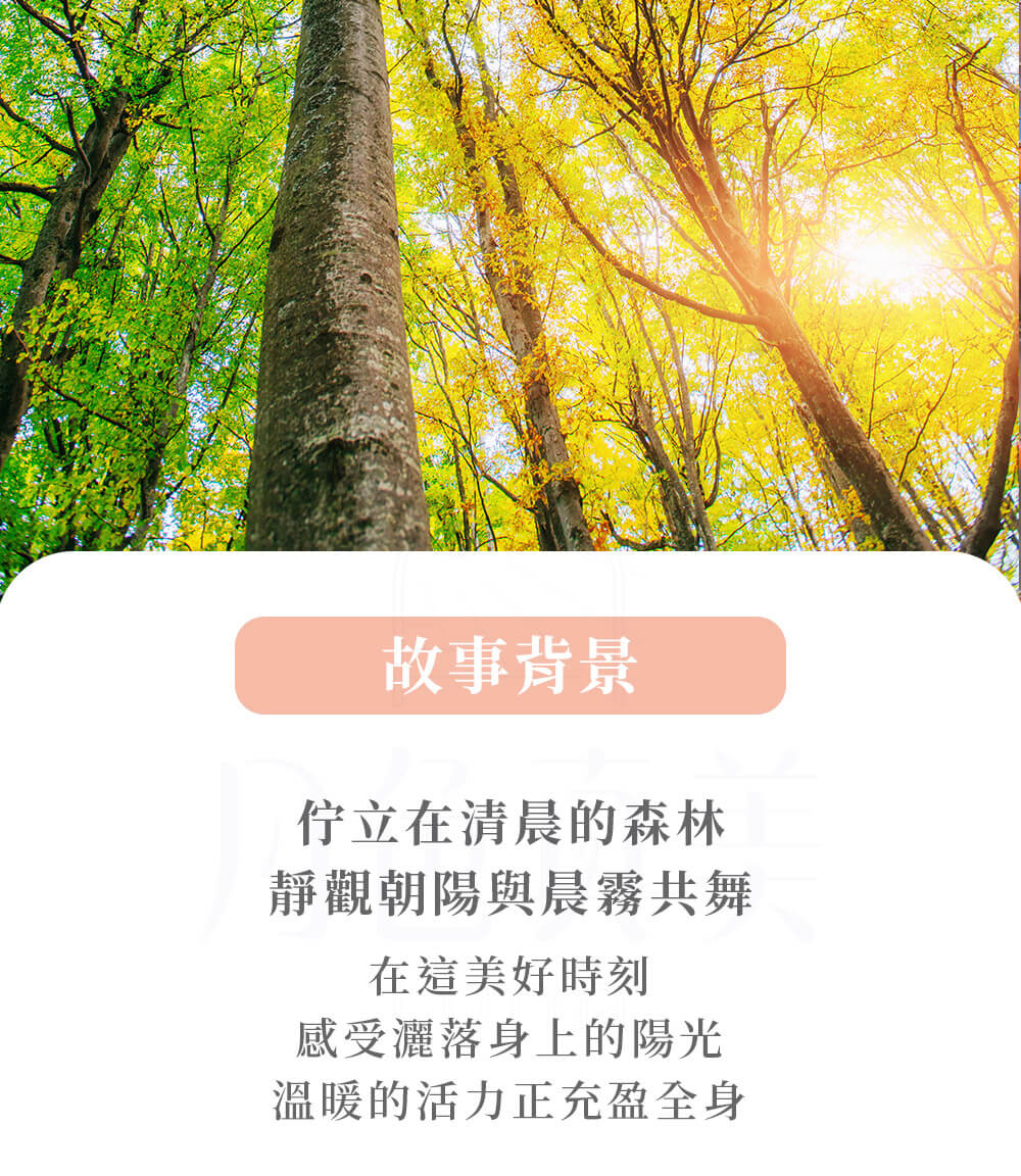 溫暖的活力正充盈全身