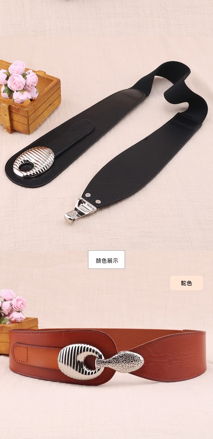 顏色展示 駝色 
