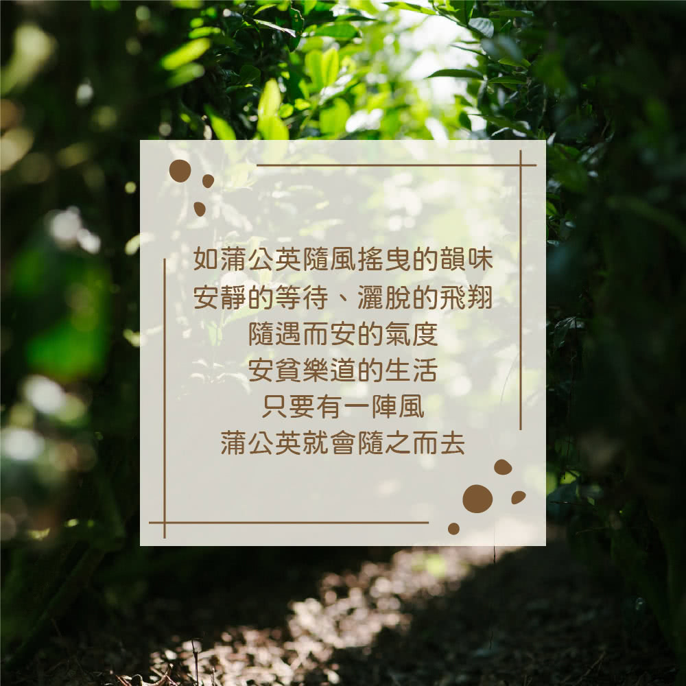 如蒲公英隨風搖曳的韻味