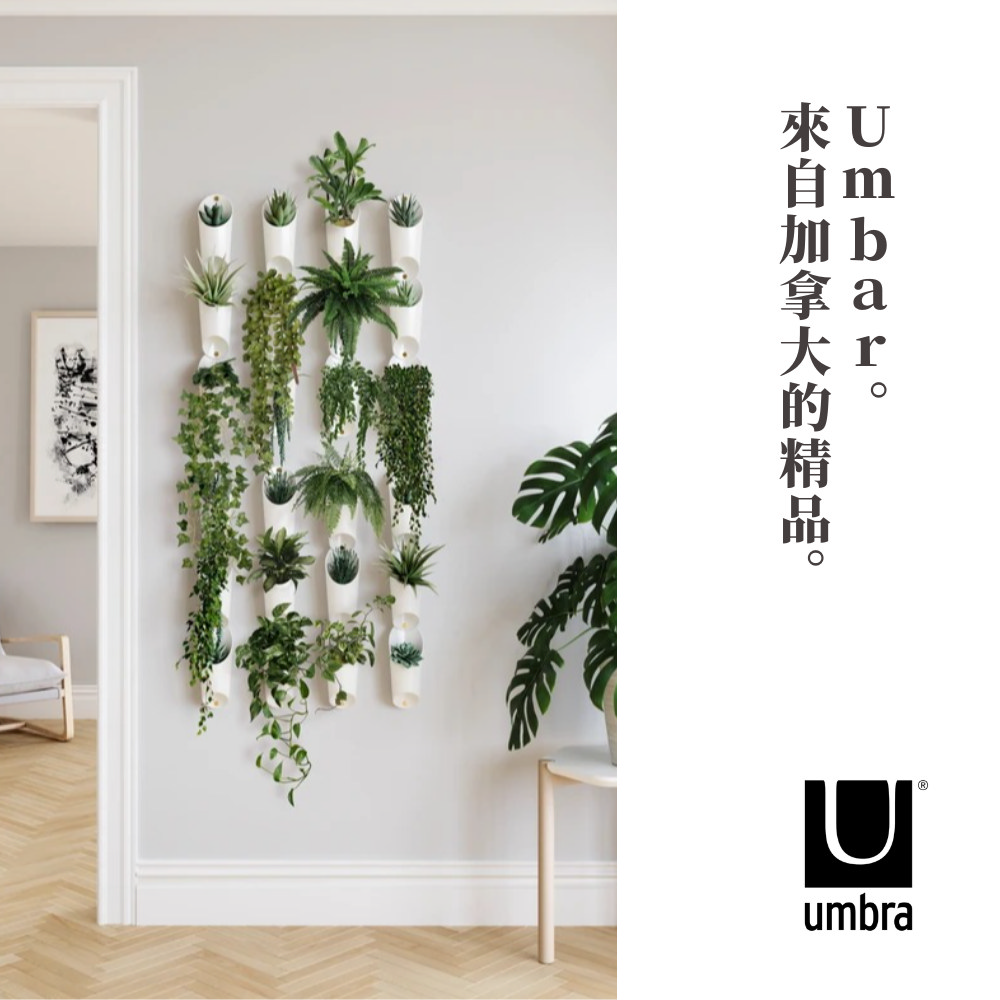 來自加拿大的精品。 