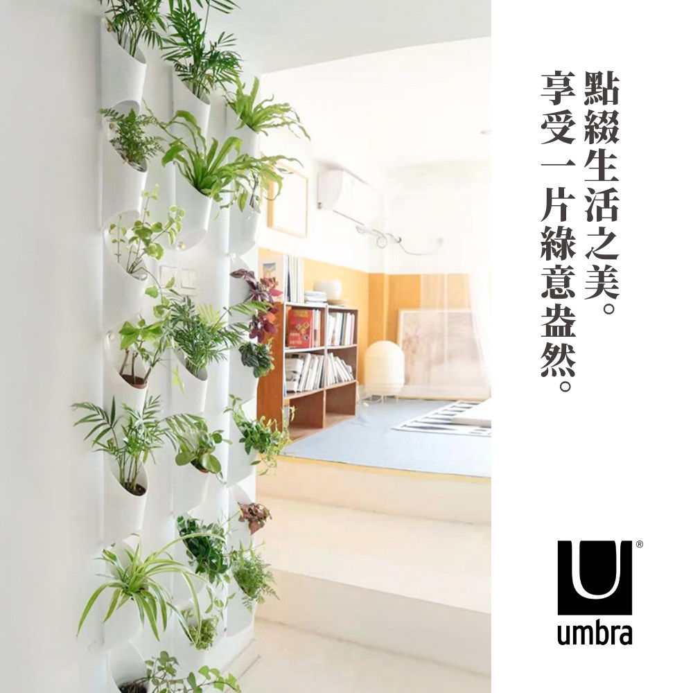 享受一片綠意盎然。 點綴生活之美。 