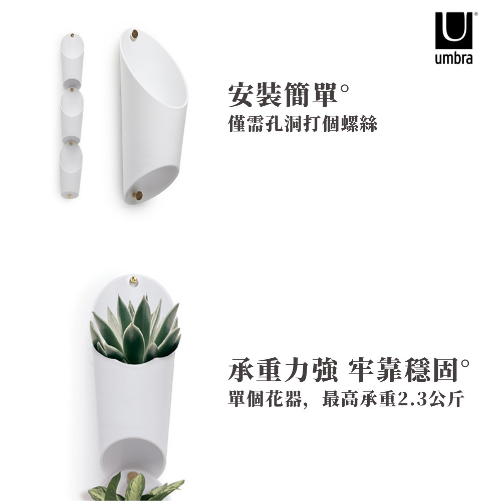 安裝簡單 僅需孔洞打個螺絲 承重力强 牢靠穩固 單個花器,最高承重2.3公斤 