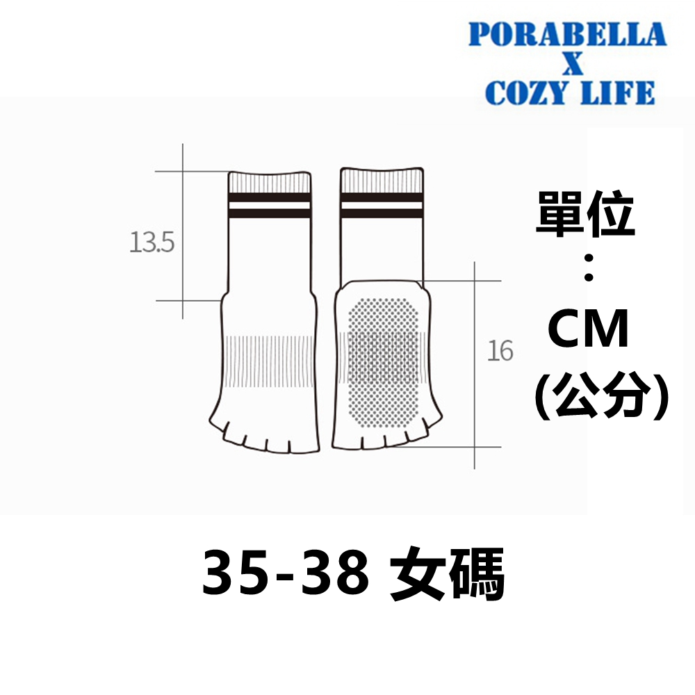3538 女碼 單位 公分 