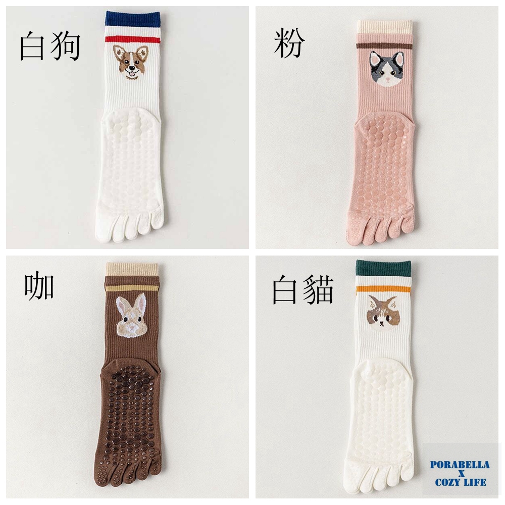 白狗 白貓