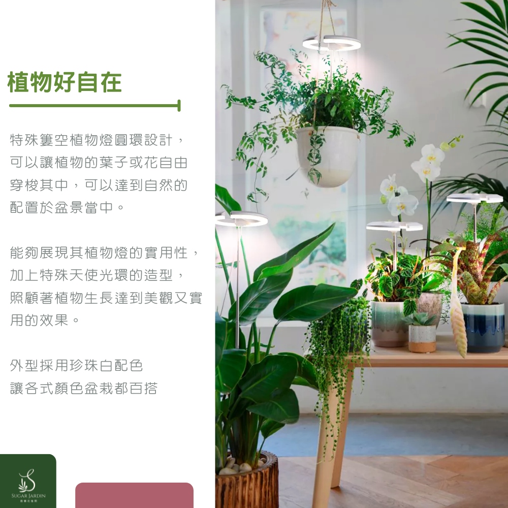 能夠展現其植物燈的實用性,