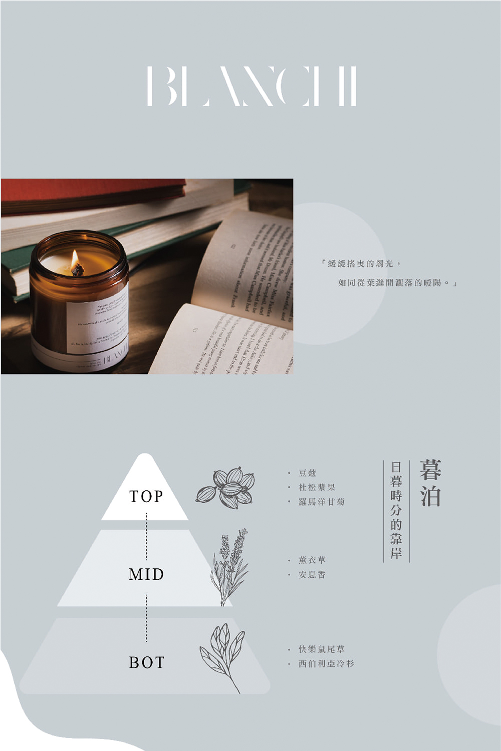 如同從葉縫間灑落的暖陽。
