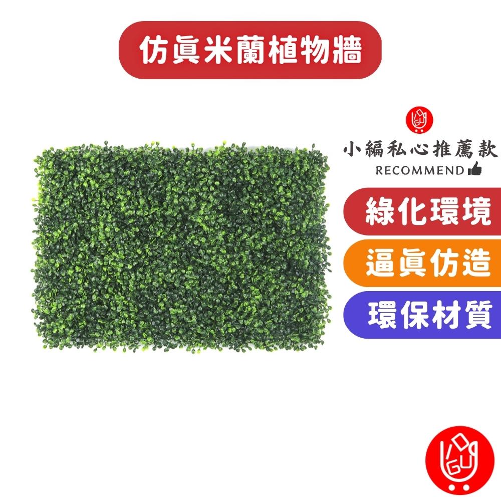 仿真米蘭植物牆