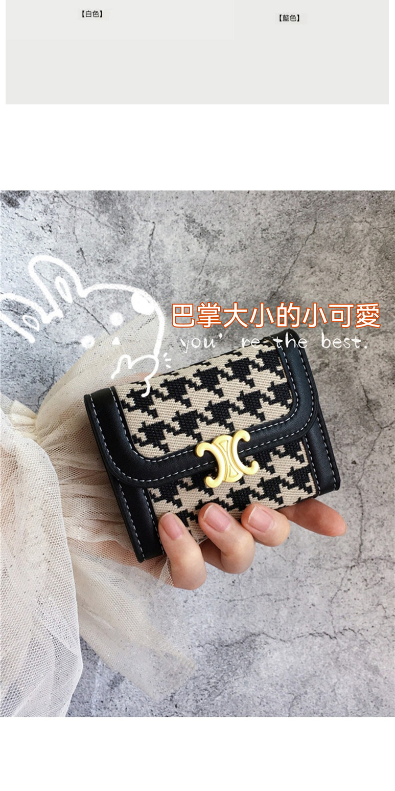 白色 藍色 巴掌大小的小可愛 