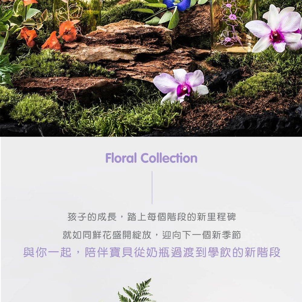 孩子的成長,踏上每個階段的新里程碑 就如同鮮花盛開綻放,迎向下一個新季節 與你一起,陪伴寶貝從奶瓶過渡到學飲的新階段 