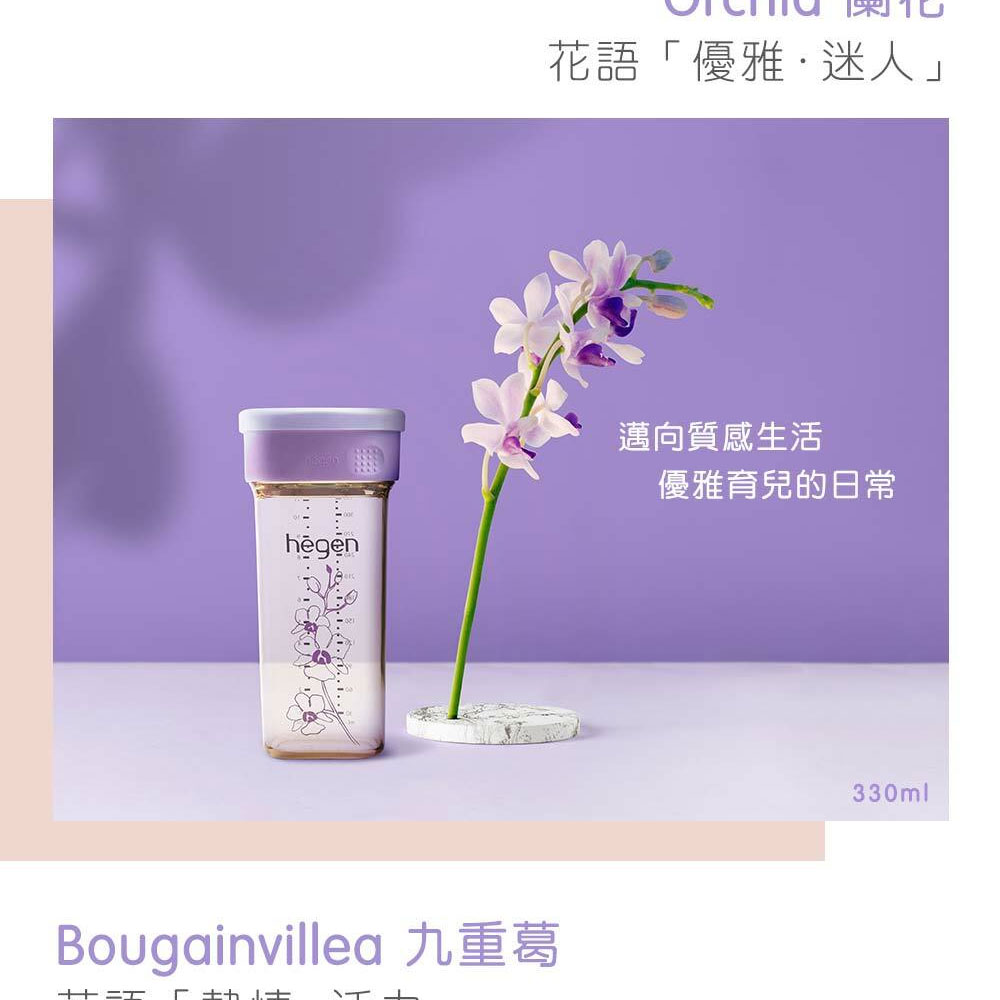 花語優雅迷人 Bougainvillea 九重葛 5th 出 邁向質感生活 優雅育兒的日常 