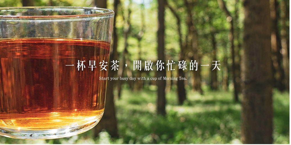 一杯早安茶,開啟你忙碌的一天 