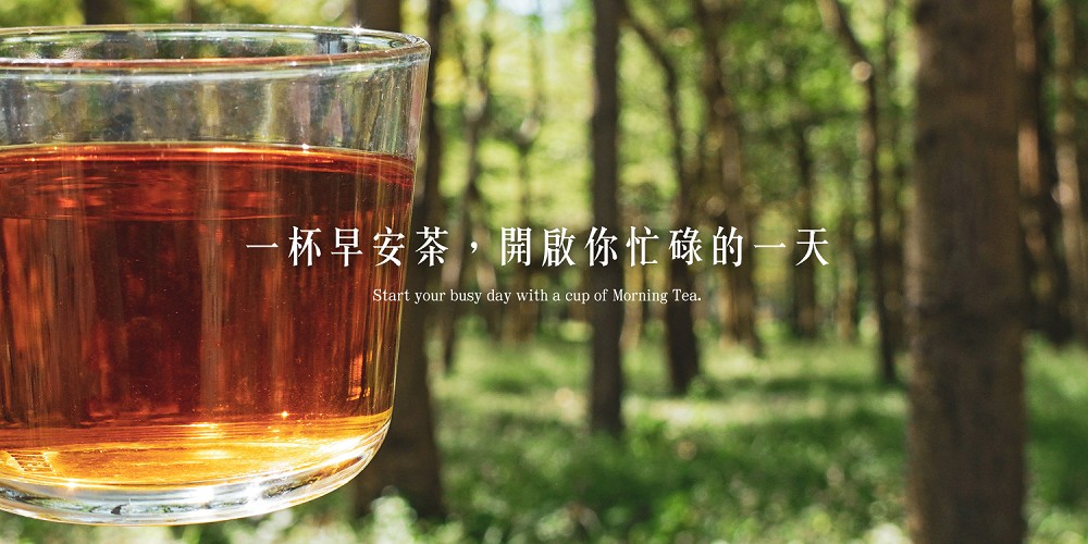 一杯早安茶,開啟你忙碌的一天 