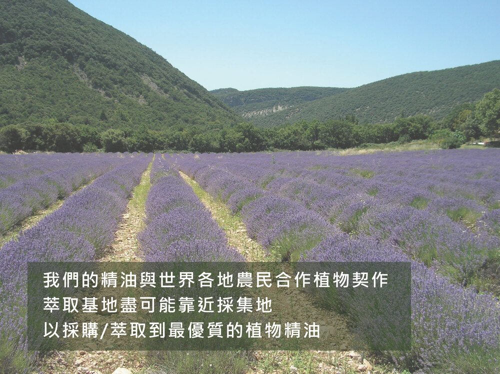 我們的精油與世界各地農民合作植物契作 萃取基地盡可能靠近採集地 以採購萃取到最優質的植物精油 
