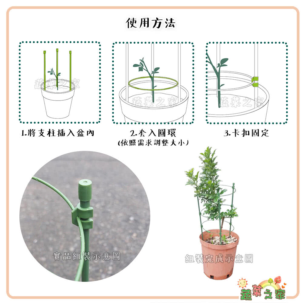 1.將支柱插入盆內