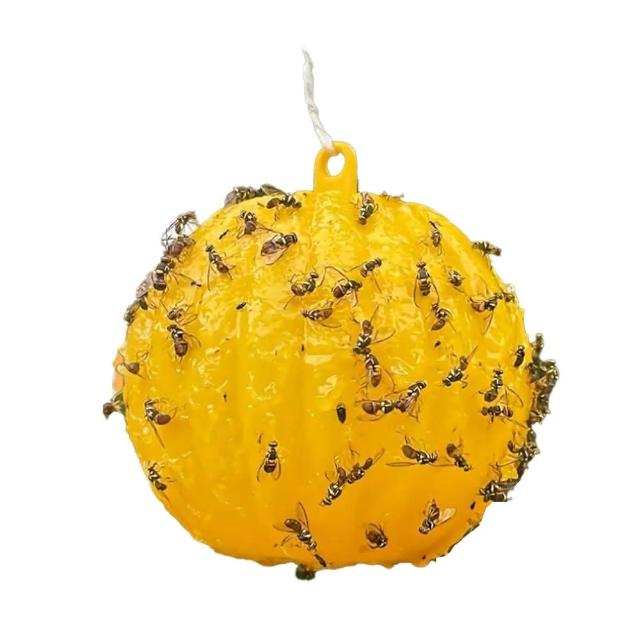 Bingo賓購 果蠅誘補神器 黏果實蠅球(黏蠅板 粘性陷阱球 針蜂蚊蟲球 果蠅剋星 果蠅誘捕器 捕果蠅)
