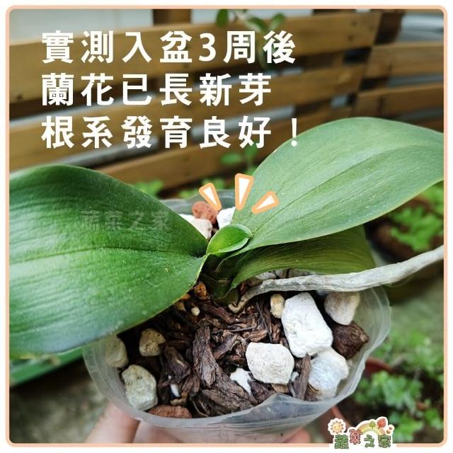 蔬菜之家】蘭美樂-小粒、粗粒-25-30公升原裝包約8KG 介質、蘭花、蘭花