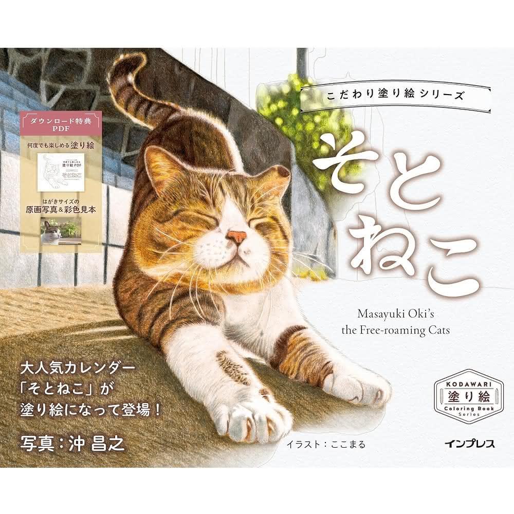 直美ねこ 栃木】宮崎 直美(みやざき なおみ)ブリーダー｜みんなの子猫