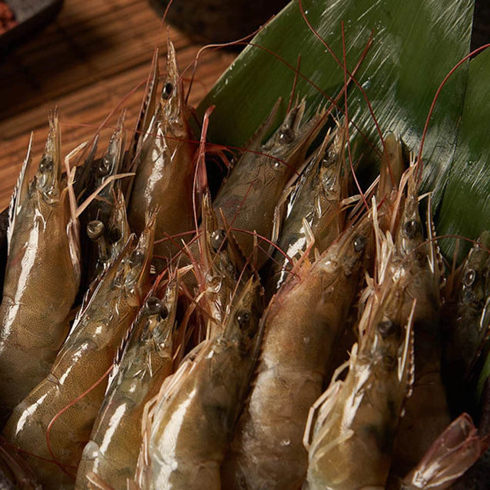 【誠實討海人】中南美洲 40/50冷凍白蝦 1.03kg/750g±5%/盒(#白蝦 #南美白蝦 #海鮮 #水產 #冷凍食品 #生凍白蝦)