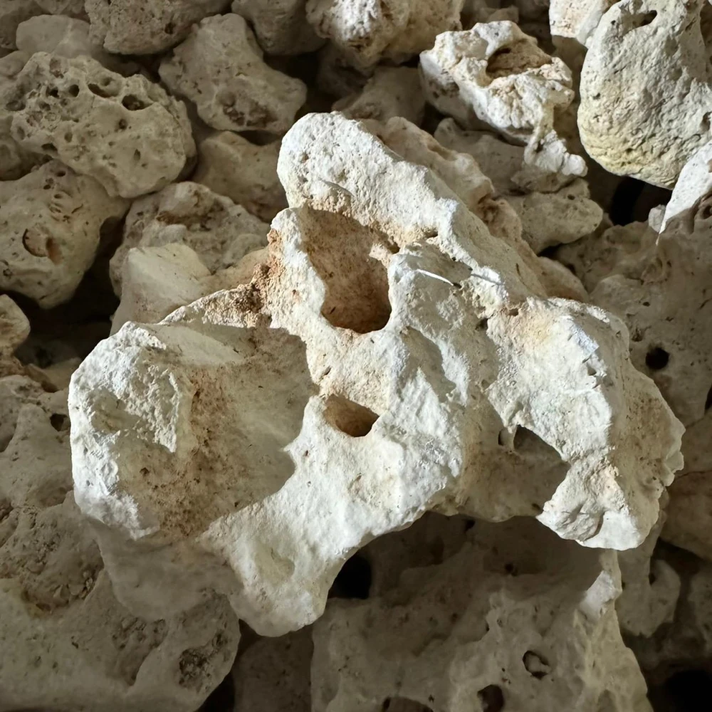 石意景觀石材】精緻咕咾石+置物台💎天然洞石擺件花園布置園藝造景陽台庭院