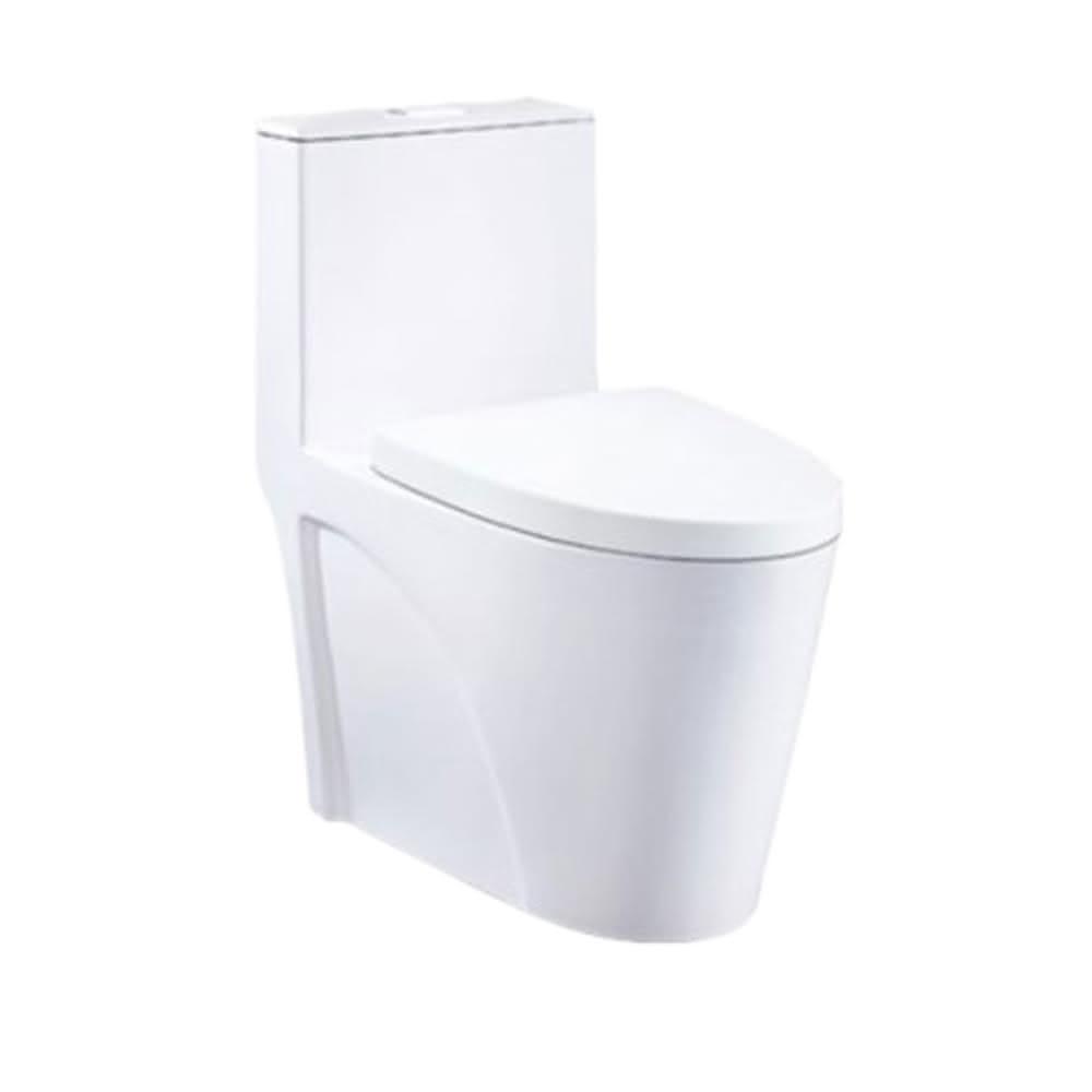 【CAESAR 凱撒衛浴】CF1650單體馬桶加高款 管距30公分 友善長輩