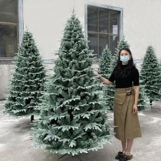 下殺免運 免稅 落雪聖誕樹植絨 加密白色仿真雪樹 加密PE少雪聖誕樹 雪花雪景裝飾聖誕樹 聖誕节裝飾 室外聖誕樹 聖誕帽