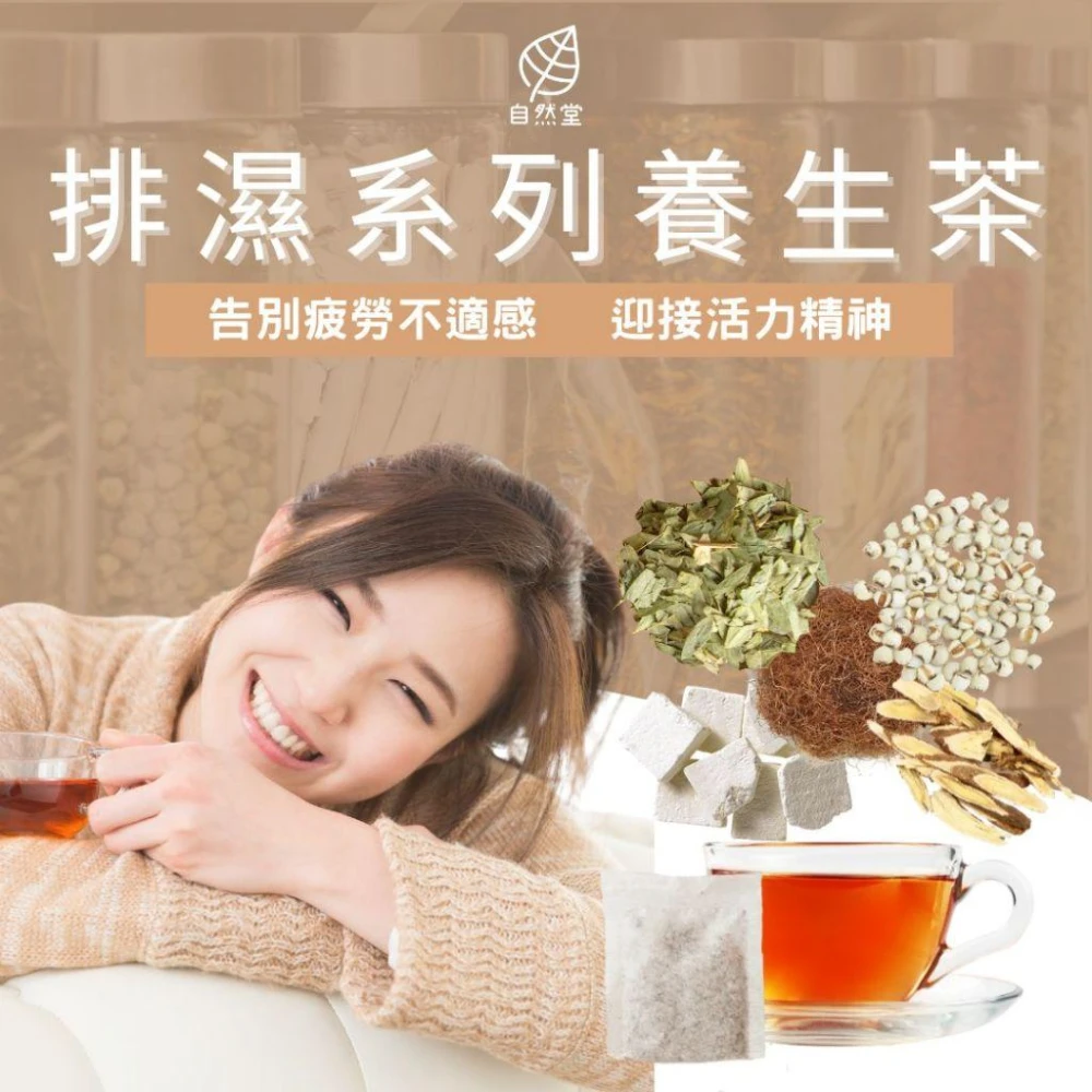 去濕茶 9-16gx1包 排濕茶 袪濕茶 養生茶 濕濕再見茶 3分鐘除濕 濕疹再見茶 濕熱體質 寒濕體質 茯苓 薏仁 黃耆 荷葉 玉米鬚