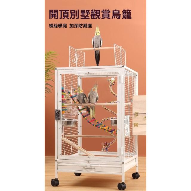 鳥籠 4963067012033.jpg?fitin=272:272