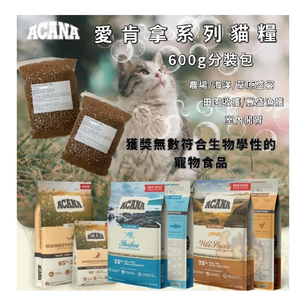 【ACANA】愛肯拿 低穀貓糧 600g分裝包 全系列 (低GI配方 無穀糧 貓糧 貓飼料)