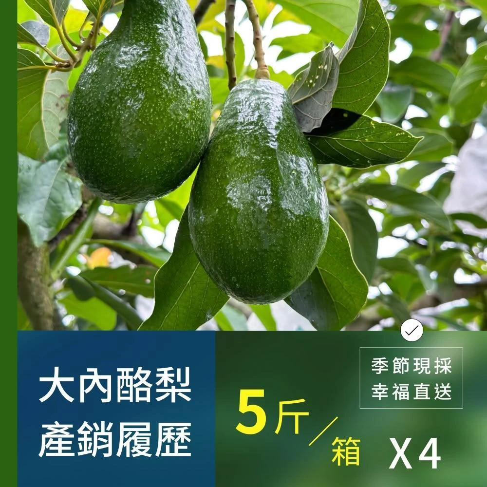 樂咖田庄農場 酪梨5斤/箱X4（20斤_依產出月份品種）