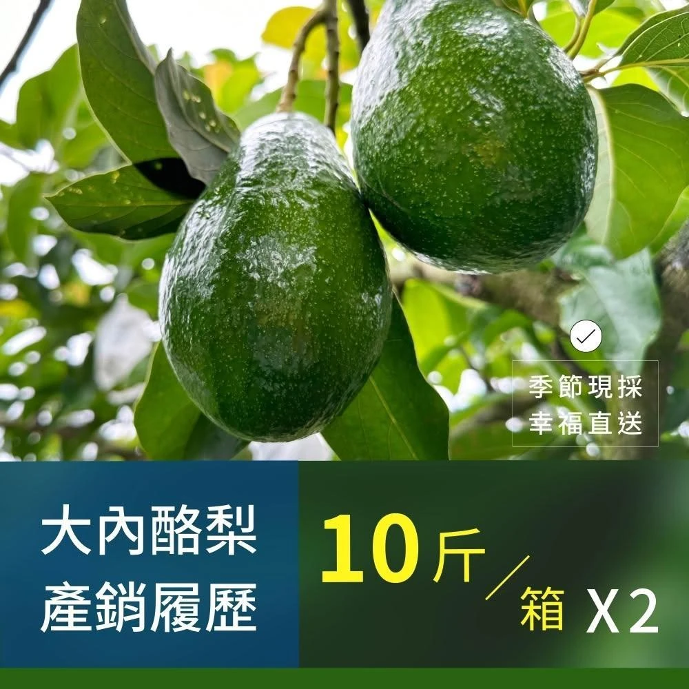 樂咖田庄農場 酪梨10斤/箱X2（20斤-依產出月份品種）