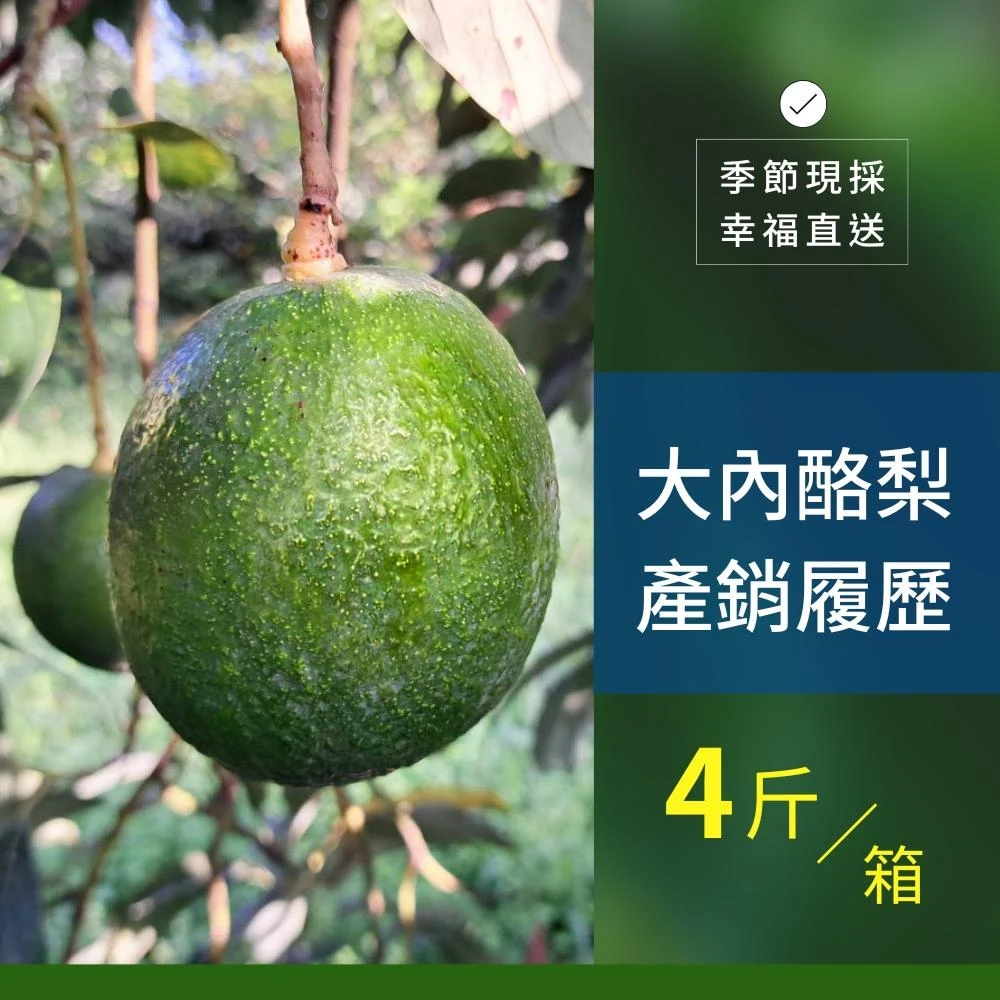 樂咖田庄農場 利得酪梨4斤/箱（不轉色_季節限定）
