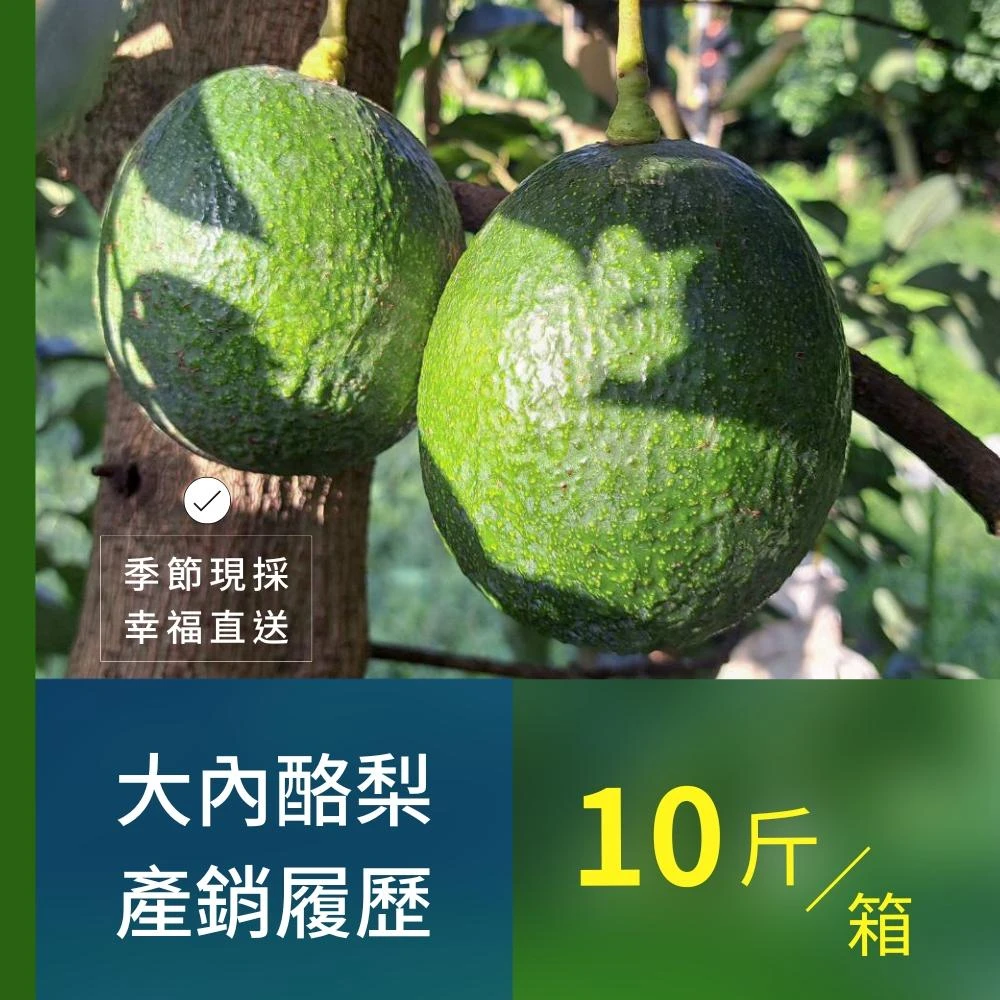 樂咖田庄農場 利得酪梨10斤/箱（不轉色_季節限定）