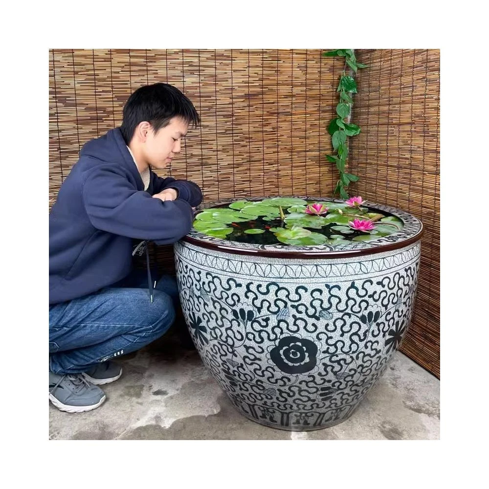 特大荷花缸 • 金魚缸 特大荷花缸 • 金魚缸 O1CN01j7Nhye1Nky1iQ2Lzu_!!