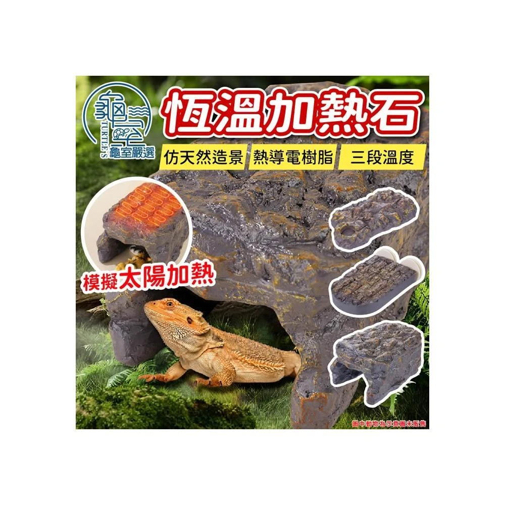 龜室 恆溫加熱石 保溫加熱 加熱石 加熱台 加熱器 守宮 蜥蜴 蛇 鸚鵡 鳥 寵物