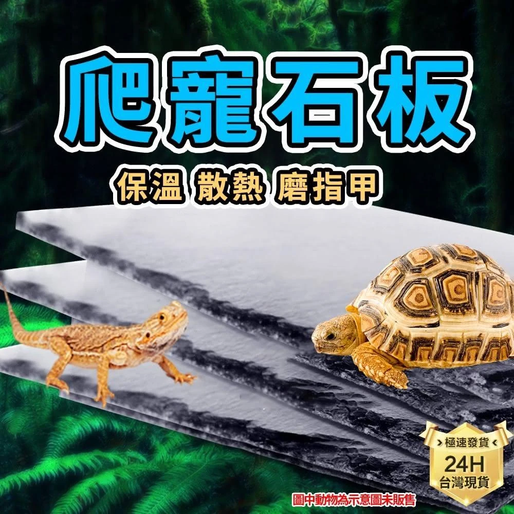 龜室 寵物石板 陸龜 烏龜 磨甲石板 岩板 爬蟲保暖保溫墊食盤食盆爬蟲爬寵造景蘇卡達蜥蜴守宮蠍子鬆獅