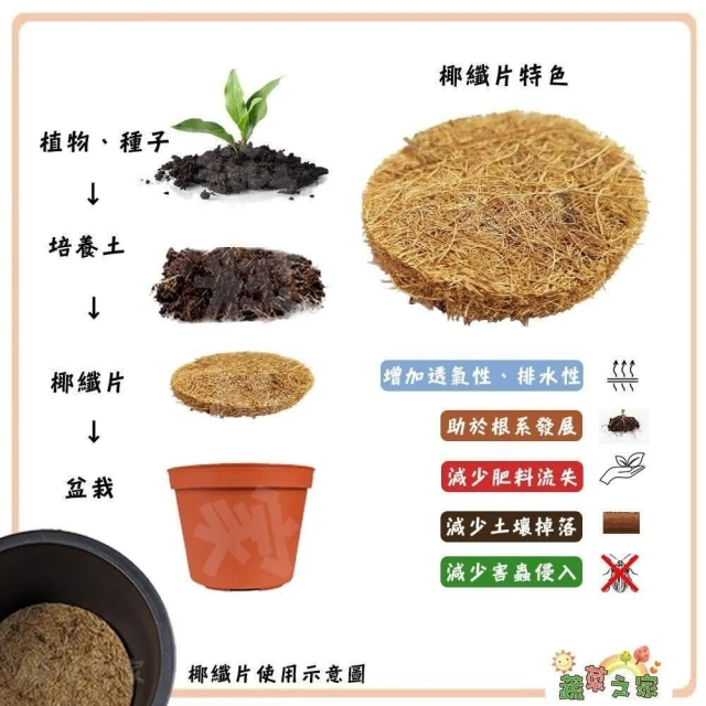 【蔬菜之家】椰纖片圓形花盆專用 6cm 8cm 10.5cm 12cm 15cm 18cm 盆底幫助排水購器 鋪面防雜草 椰纖毯 椰