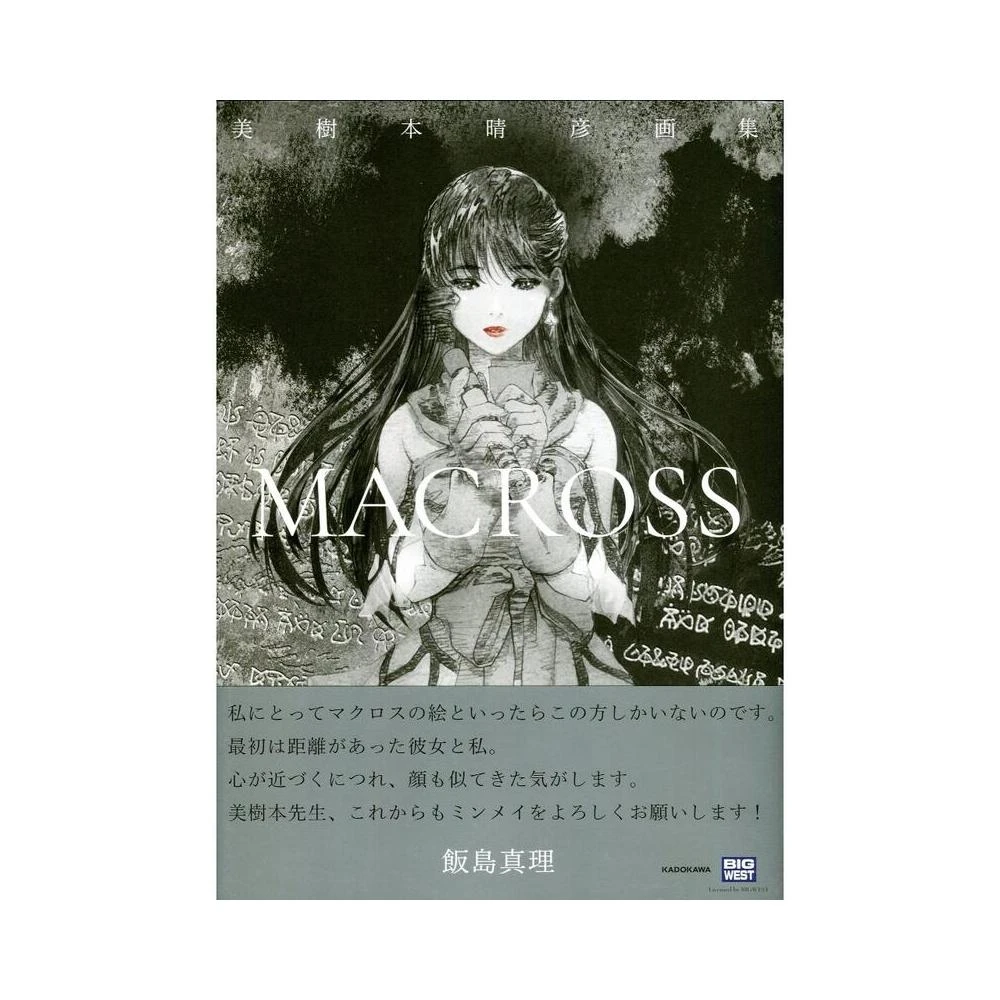 マクロス原画集 Yahoo!オークション - 超時空要塞 マクロス 原画集 美樹本晴彦