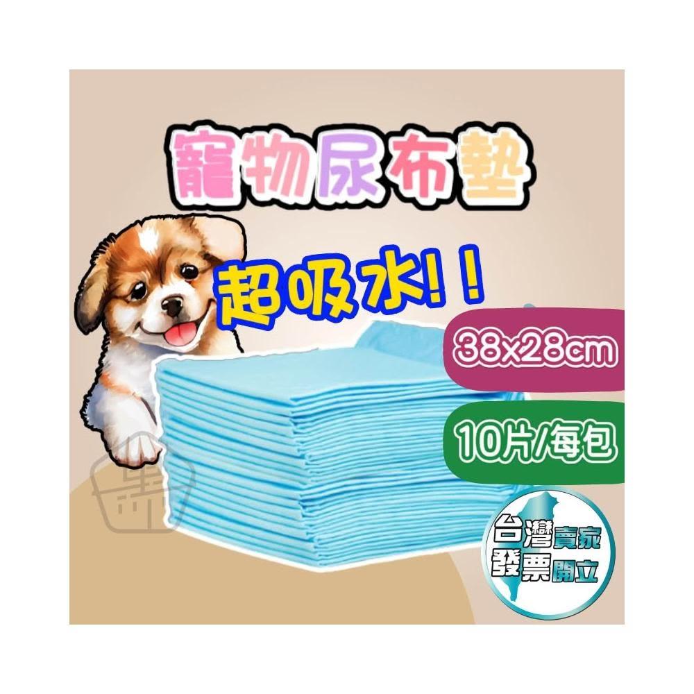 寵物尿布墊 超吸水 小型尺寸 一包10片