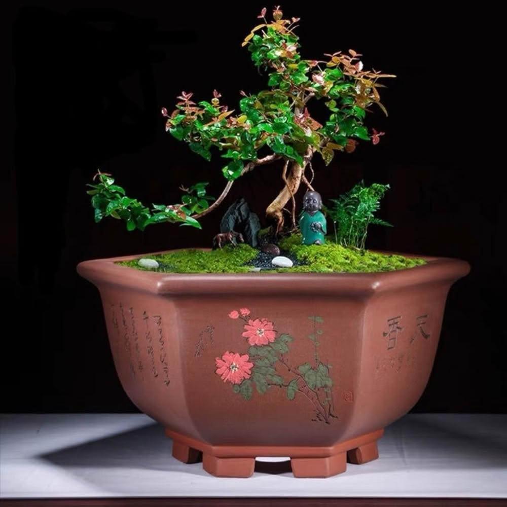紫砂花盆　盆栽　中国古美術   高さ12.2cm 最も 四方鉢 大品盆栽鉢 小品盆栽鉢 植木鉢 紫砂の鉢盆栽鉢 工芸
