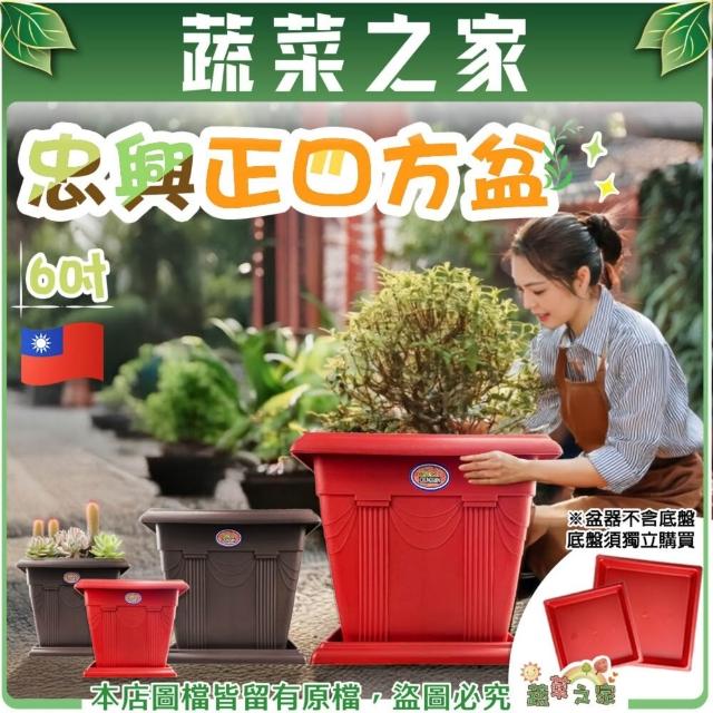 蔬菜之家】忠興正四方盆6吋-磚紅色、棕色可加購水盤台灣製四方盆花盆