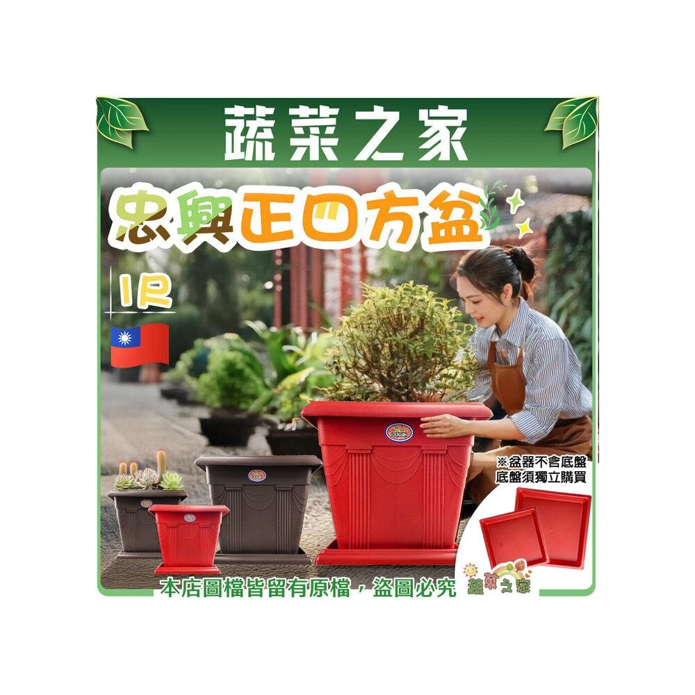 蔬菜之家】忠興正四方盆6吋-磚紅色、棕色可加購水盤台灣製四方盆花盆