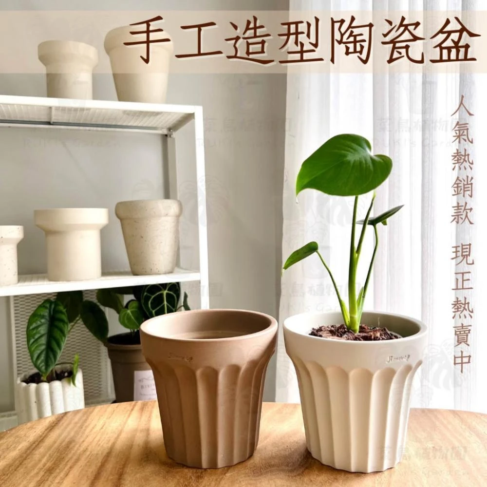 夢工房】幹山 伝七 造 白磁 四君子紋 盆器 蘭鉢 （ 盆栽 鉢