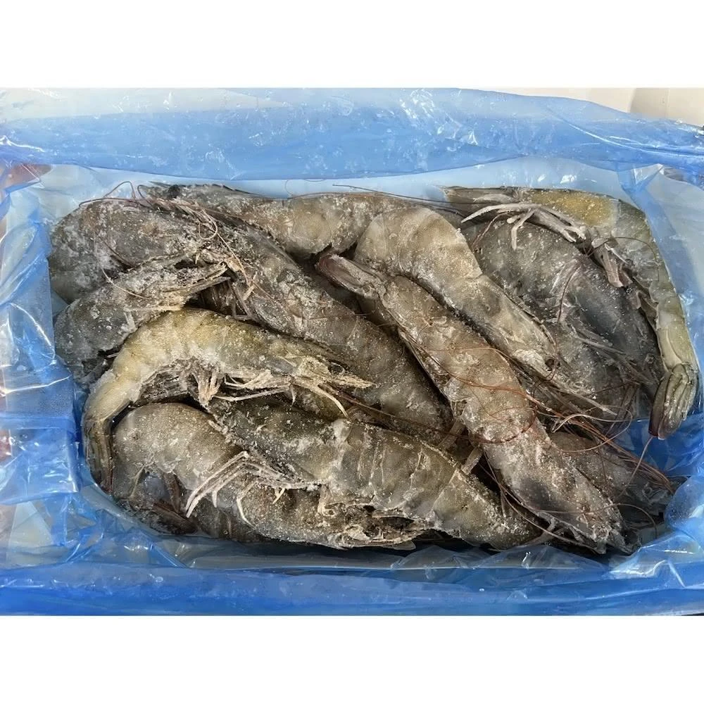 【誠實討海人】20/30 冷凍白蝦 850g包冰24%/約15~18隻(#活凍白蝦 #大隻白蝦 #冷凍白蝦)