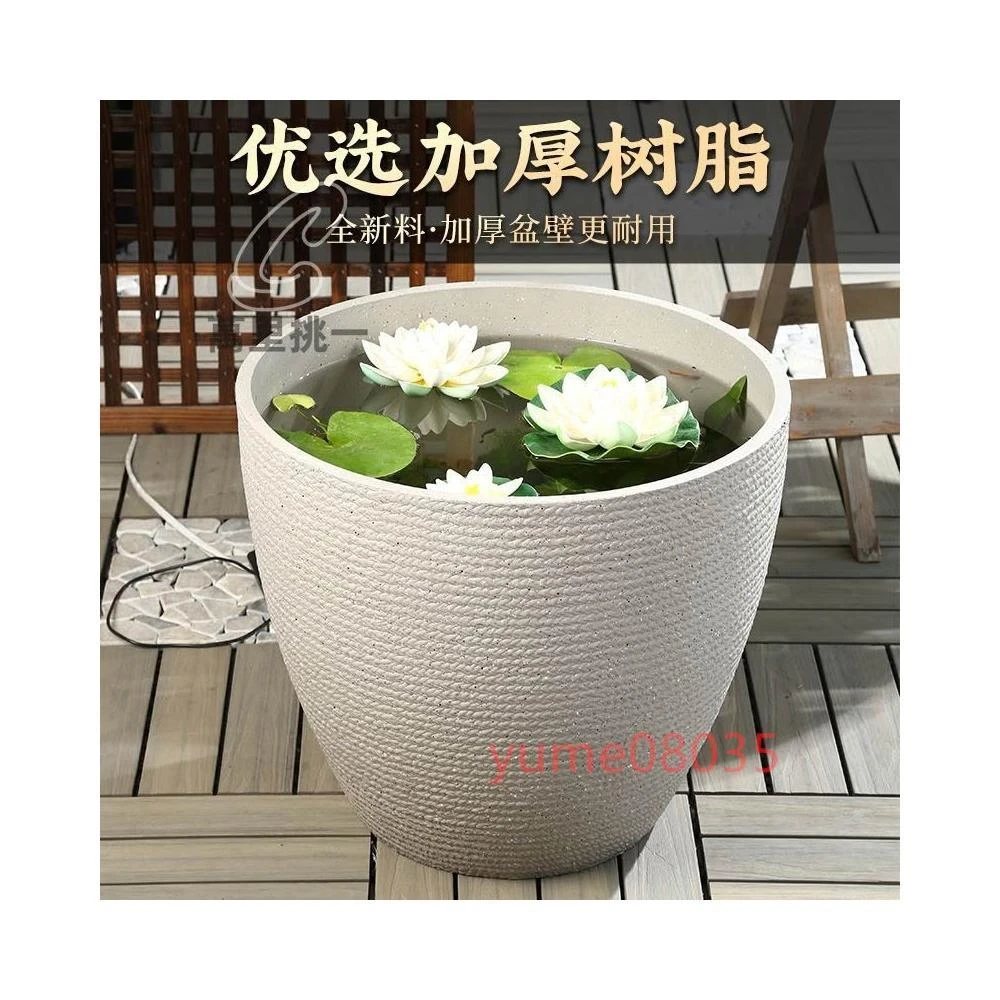 特大荷花缸 • 金魚缸 特大荷花缸 • 金魚缸 特大荷花缸 • 金魚缸 特大荷花缸 • 金魚缸