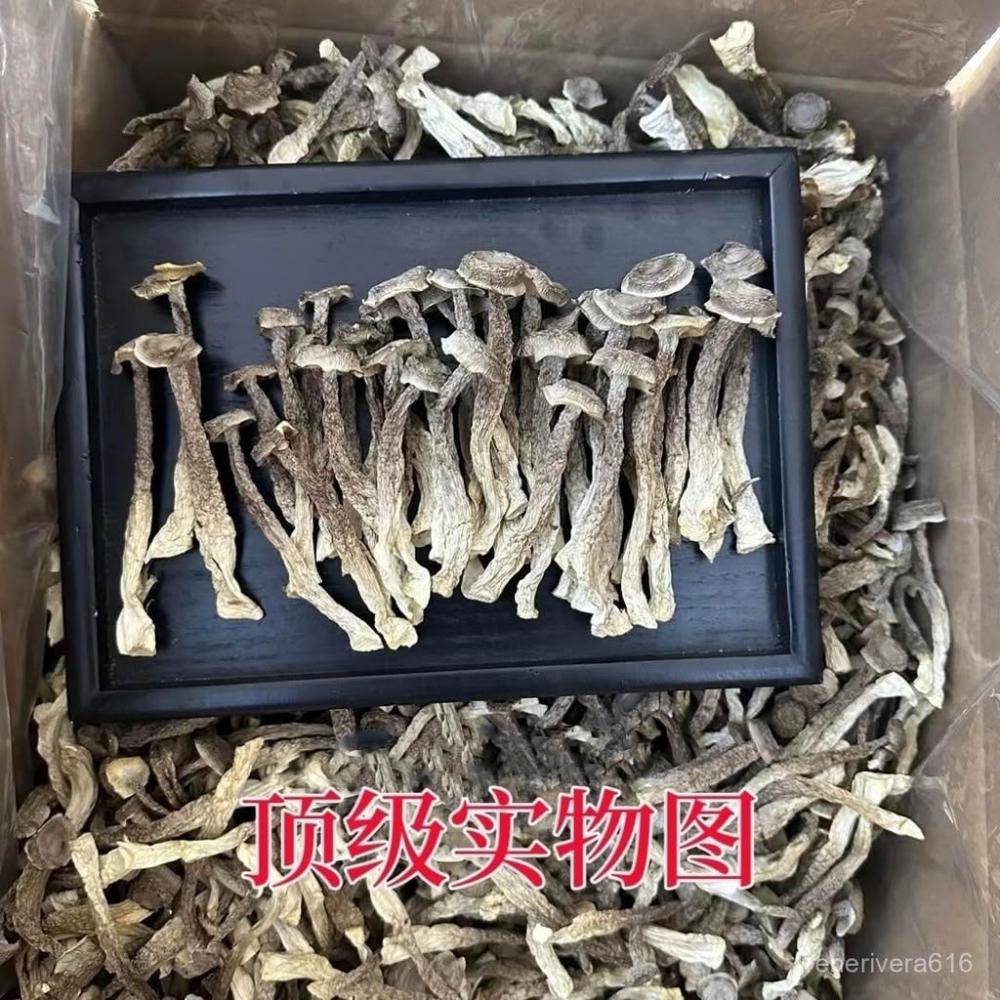 鹿茸- momo購物網- 好評推薦-2025年8月